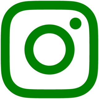 insta-logo-g.png